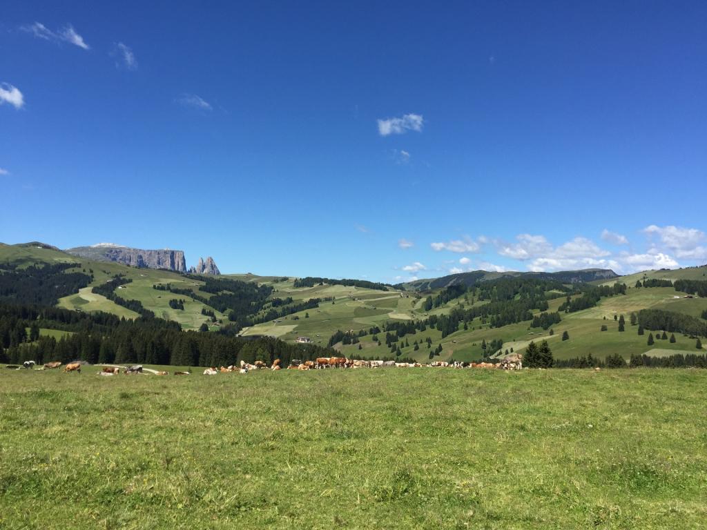 Zuid-Tirol Italië - Zomervakantie